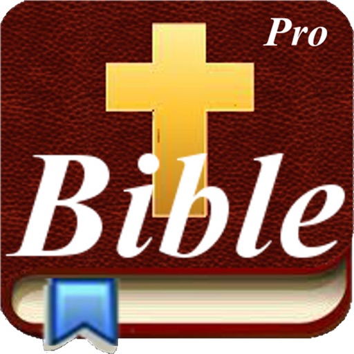 Handy Bible Pro