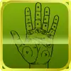 PALM READER The Fortune Teller problems & troubleshooting and solutions