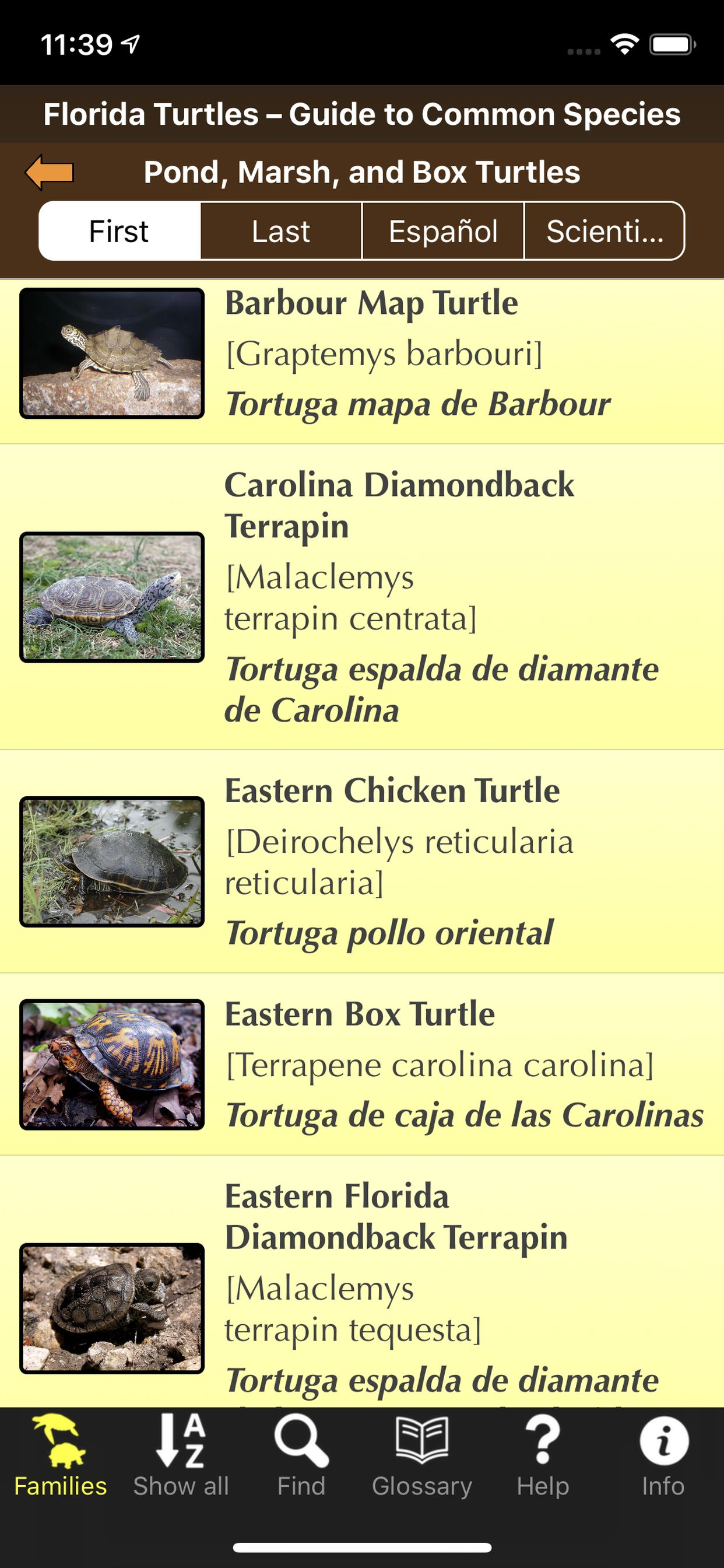 Florida Turtles screenshot 4