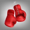 Boxing Superstar - iPhoneアプリ
