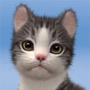 My Cat:Pet Game Simulator icon