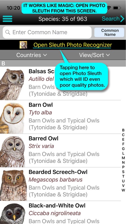 iBird Ultimate Guide to Birds