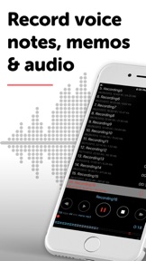 Dictaphone - Audio Recorder screenshot