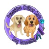 Pawsitive Critter Care