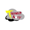 Thunder Alley icon