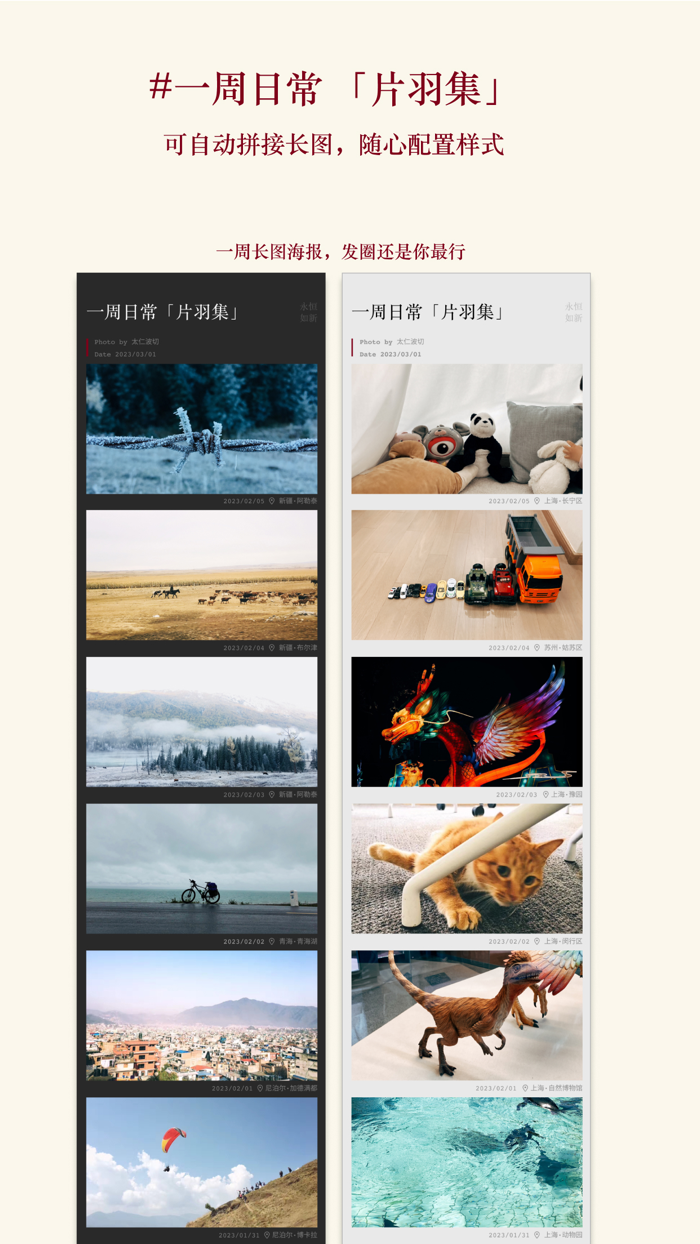 片羽集-我的365天日常生活照片日记