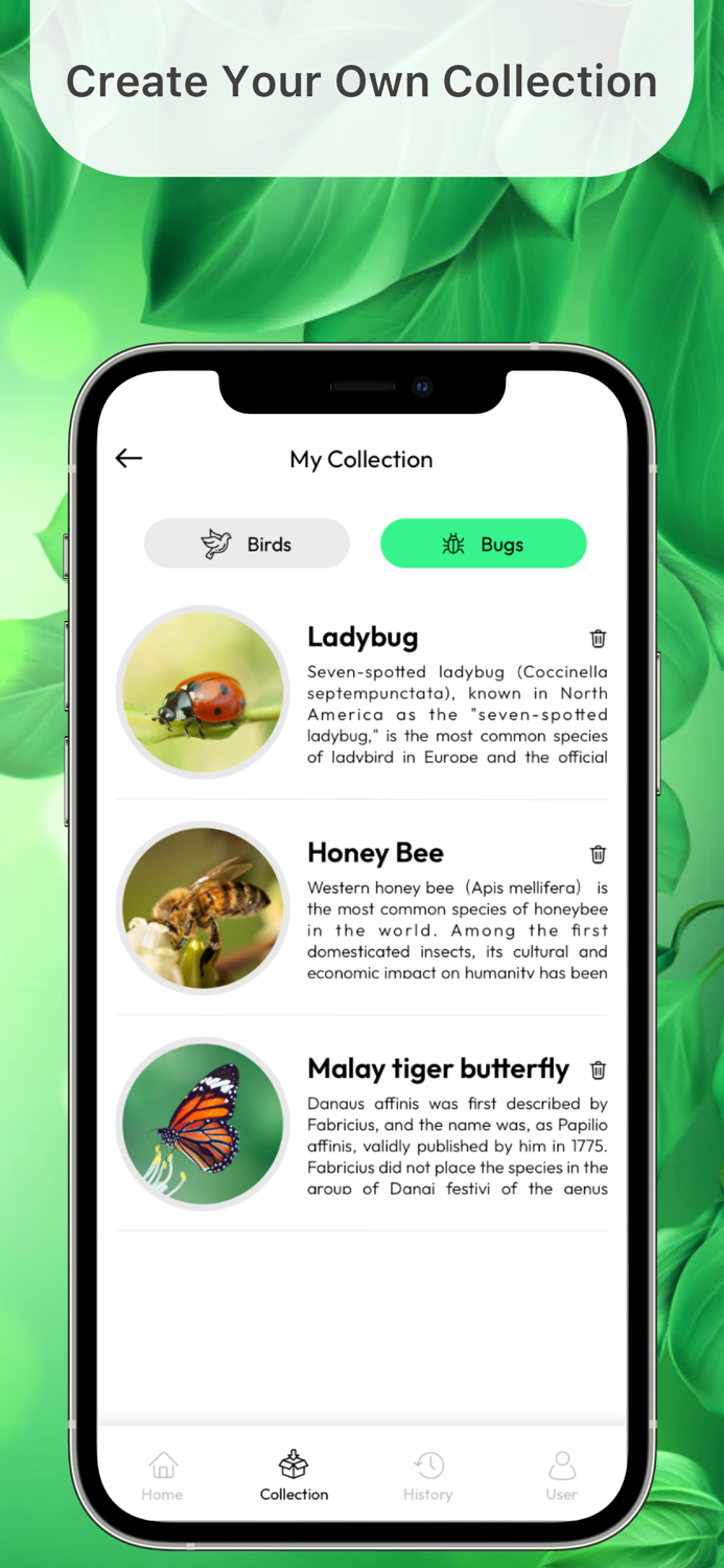 Bird Identifier By Sound ID