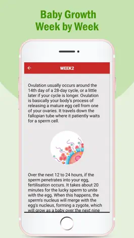 Game screenshot Pregnancy Care Tips hack