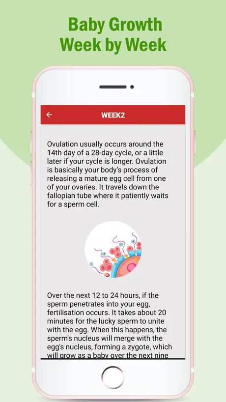 Pregnancy Care Tips