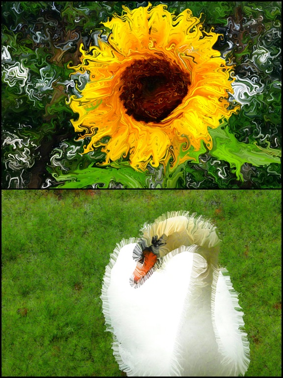 WoolImager iPad screenshot 5 - Photo & Video app