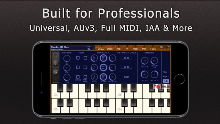 Galileo Organ 2 screenshot-4