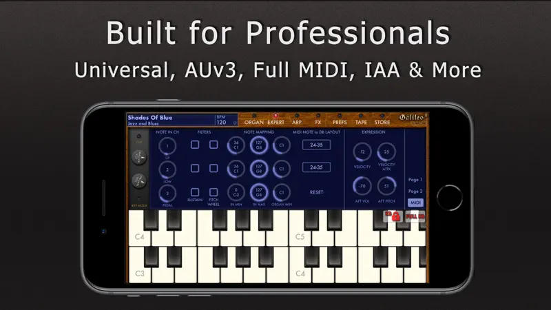 Galileo Organ 2 screenshot 5 of 5