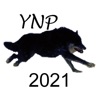 Yellowstone Wolves 2021 icon