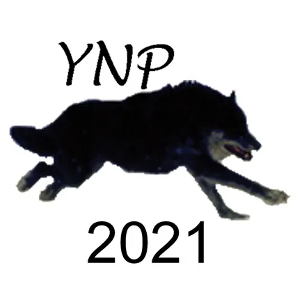 Yellowstone Wolves 2021 Cheats