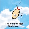 Bungee Egg Challenge