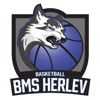 BMS Herlev Cup