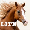 Horse Jigsaw Puzzle Games icon