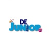 Direct English Junior icon