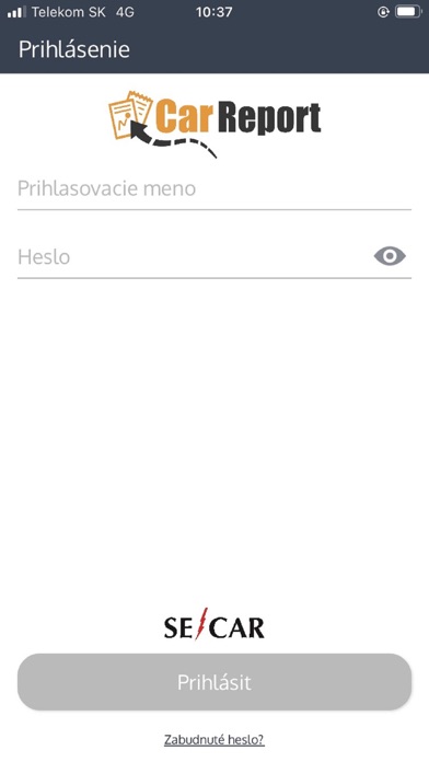 CarReport Screenshot