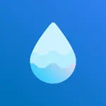 Batch Watermark Videos & Photo App Support