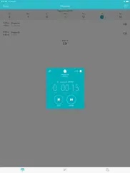 timesheet - time tracker ipad capturas de pantalla 4