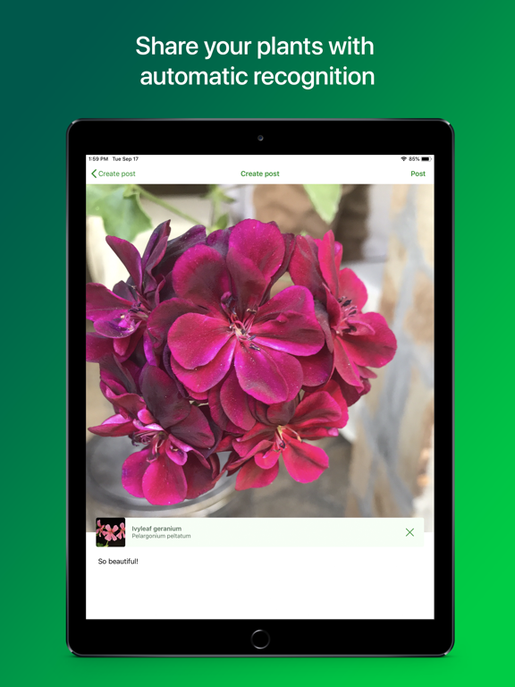 PlantSnap identify plants App Price Drops