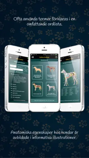 Världens Hundraser 2.0 screenshot 3