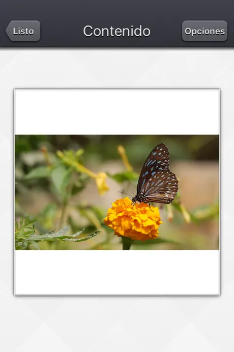 Video Resize & Scale - HD