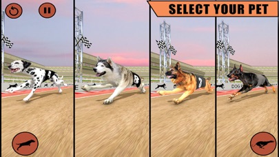 Dog Racing Game - Dog Games Screenshot