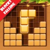 Puzzle Games: Blocks Skillz icon