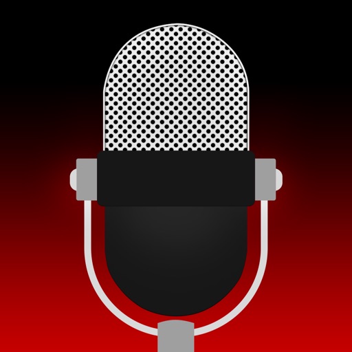 Voice Recorder Lite: запись звука HD