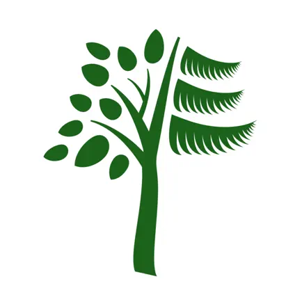 Lesní svět Читы