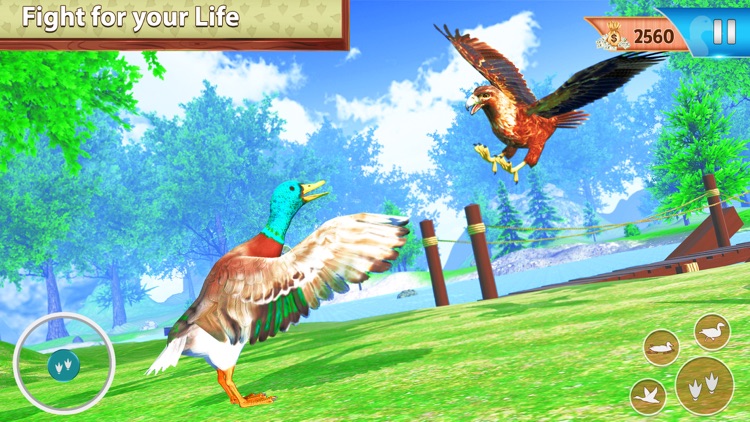 Duck Game Bird Simulator screenshot-3