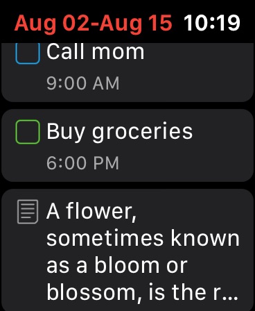 Apple Watch screenshot