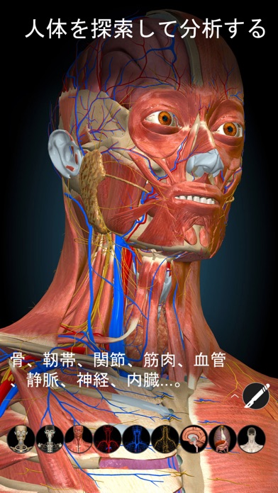 Anatomy Learning - 3Dアナトミーのおすすめ画像1