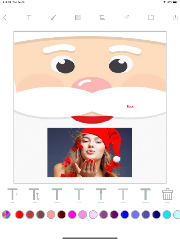 Christmas - create cards iPad screenshot 5 - Photo & Video app