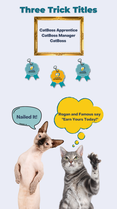 CatBoss TV Cat Training Screenshot