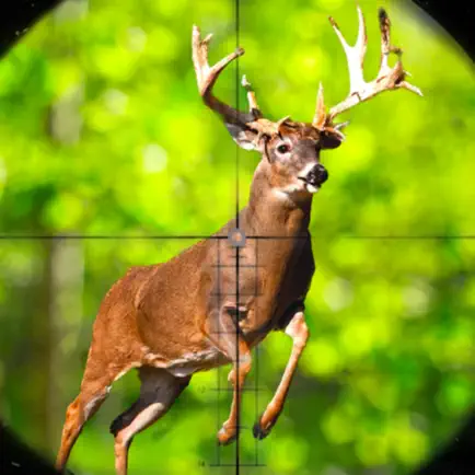 Deer Hunter 2023 : Marksman Cheats