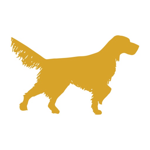 Solid Point Wealth Advisors