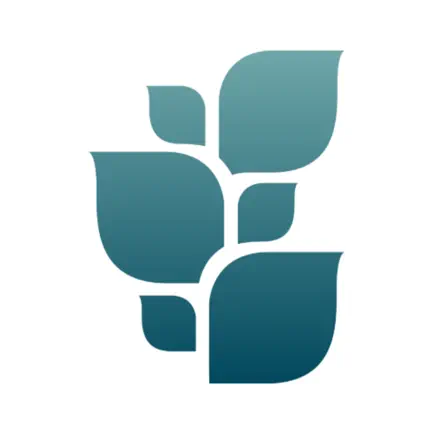 Mięta Studio Ruchu Cheats