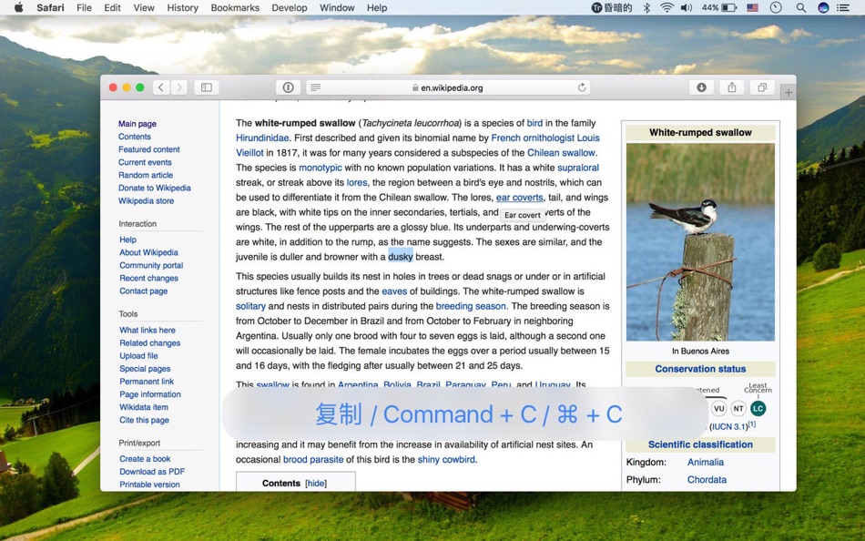 #3. Intelligent Translator (macOS) 게시자: 磊 郭