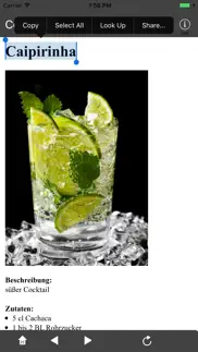 cocktail rezepte iphone bildschirmfoto 4