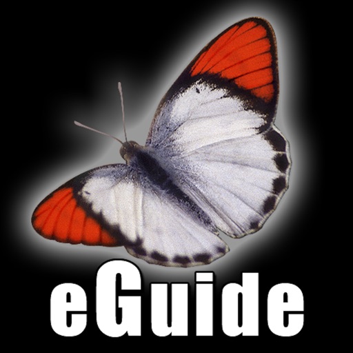 Butterfly eGuide icon