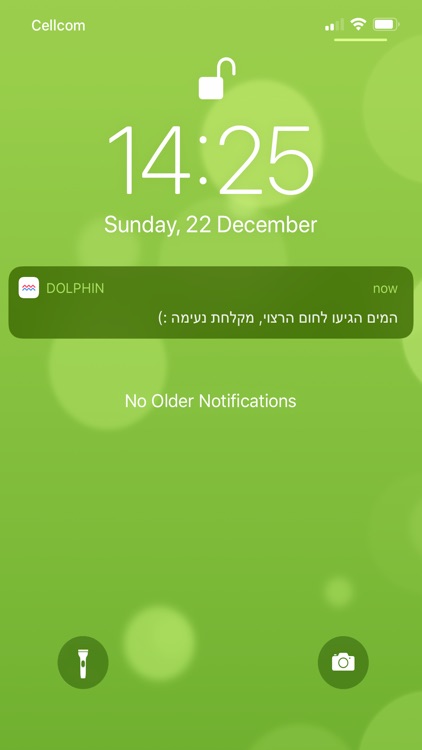 Dolphin Boiler screenshot-4