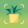 PlantID - Plant Identifier App