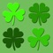 Can you catch the Falling Shamrocks before they hit the ground