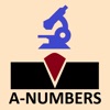 A-Number icon