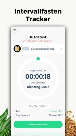 Game screenshot Intervallfasten Fasten Tracker mod apk