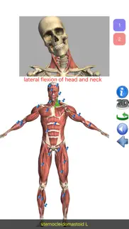 visual anatomy lite iphone screenshot 1