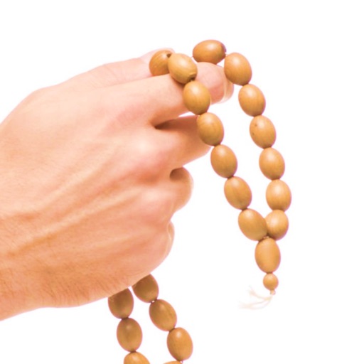 Tasbih Counter Pro: Dhikr App on the App Store